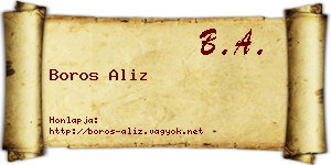 Boros Aliz névjegykártya